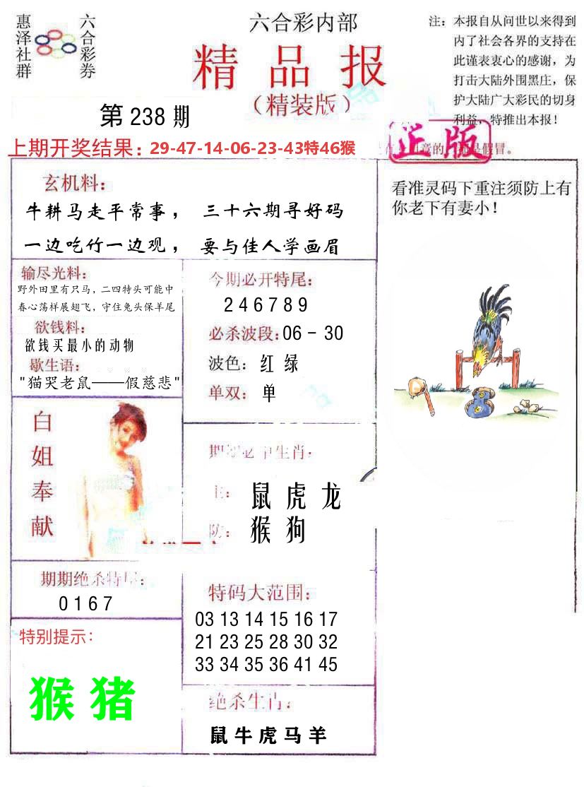 精品报 第238期