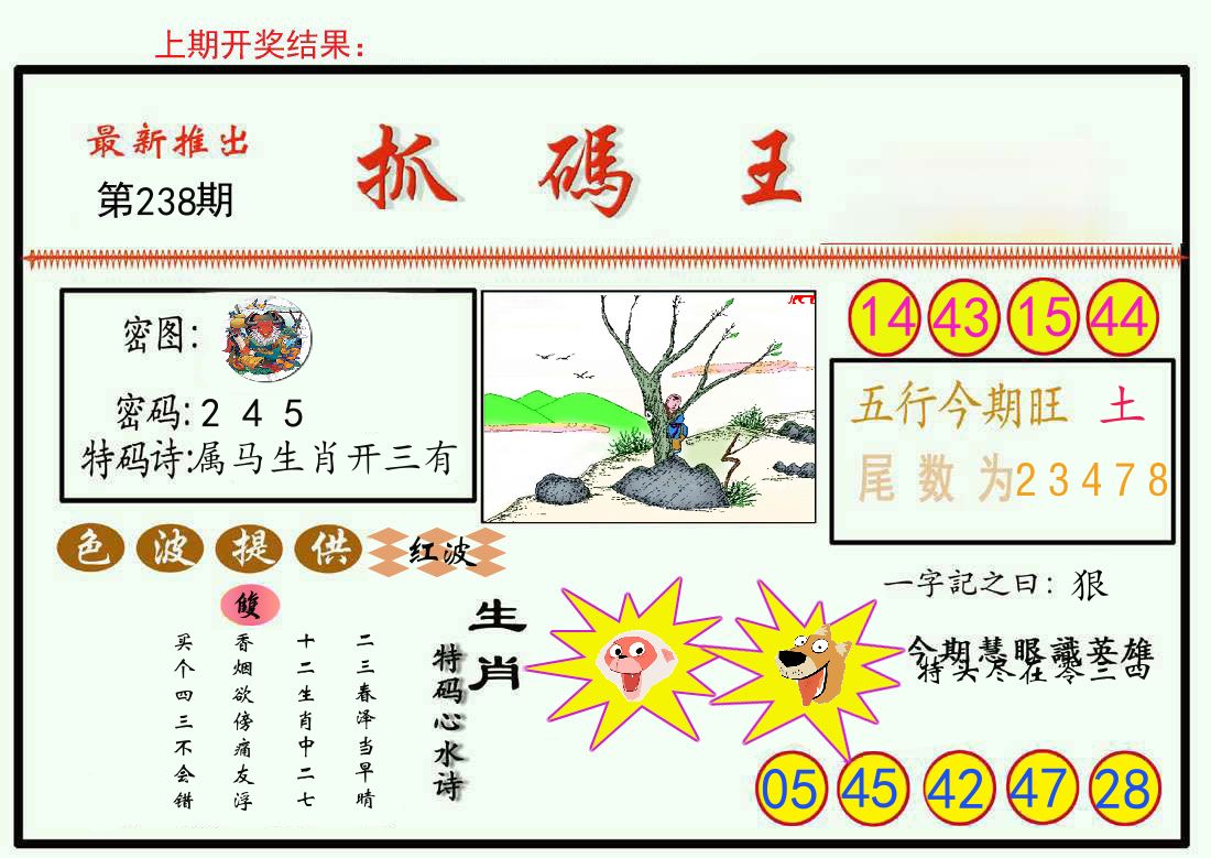 最新抓码王 第238期