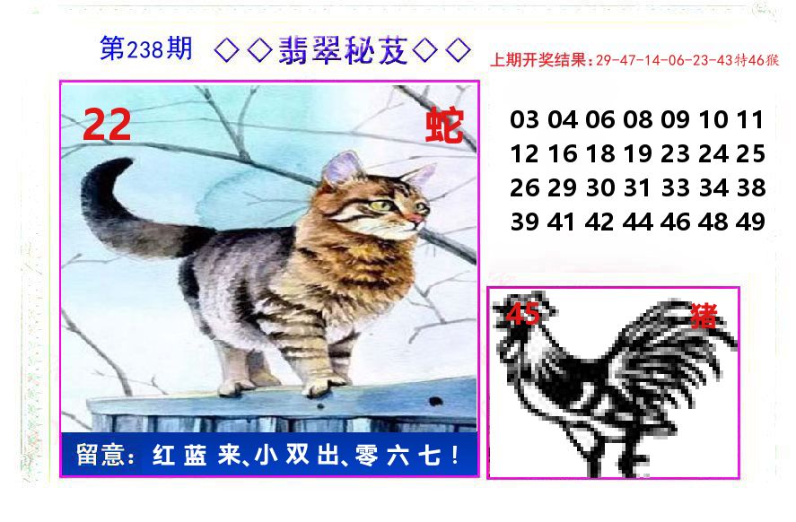 翡翠秘芨 第238期