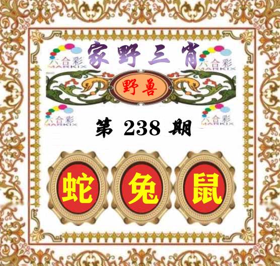 家野三肖 第238期