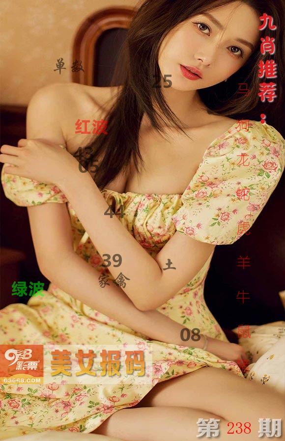 美女报码 第238期