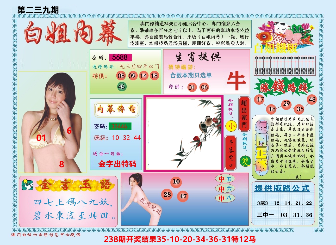 澳门白姐内幕 第239期