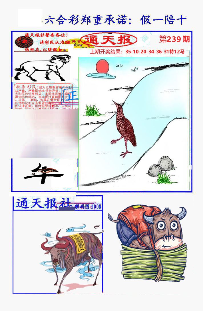 通天报 第239期