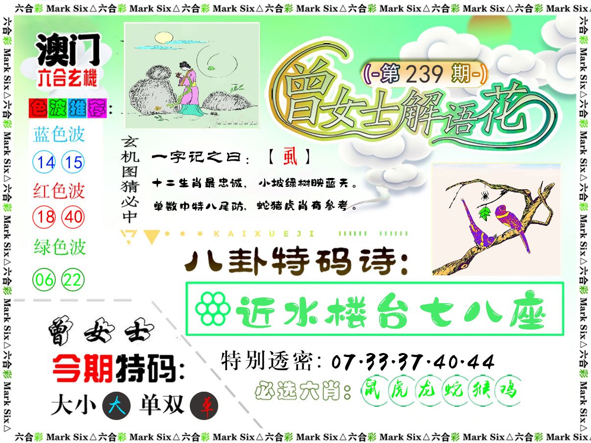 曾女士解语花 第239期