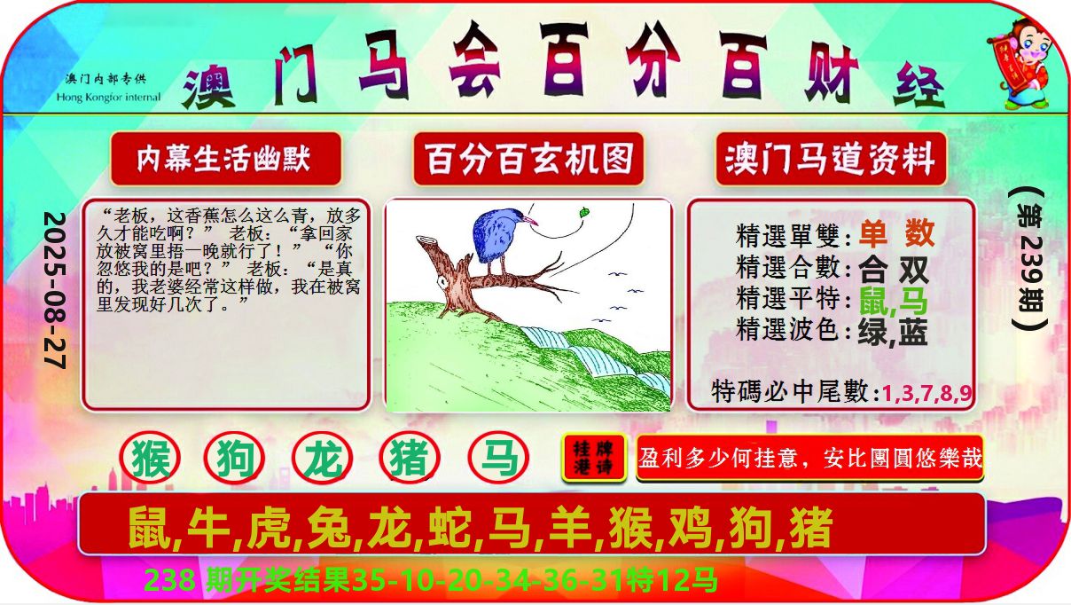百分百财经 第239期