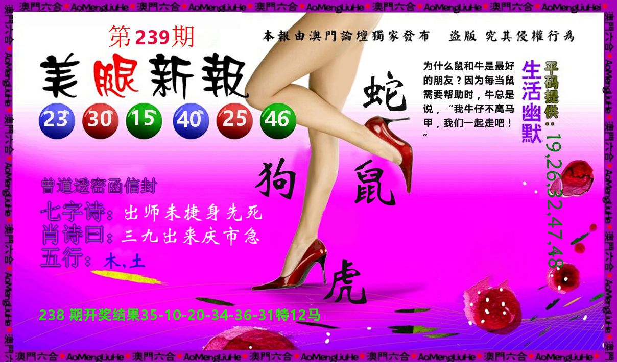美腿新报 第239期