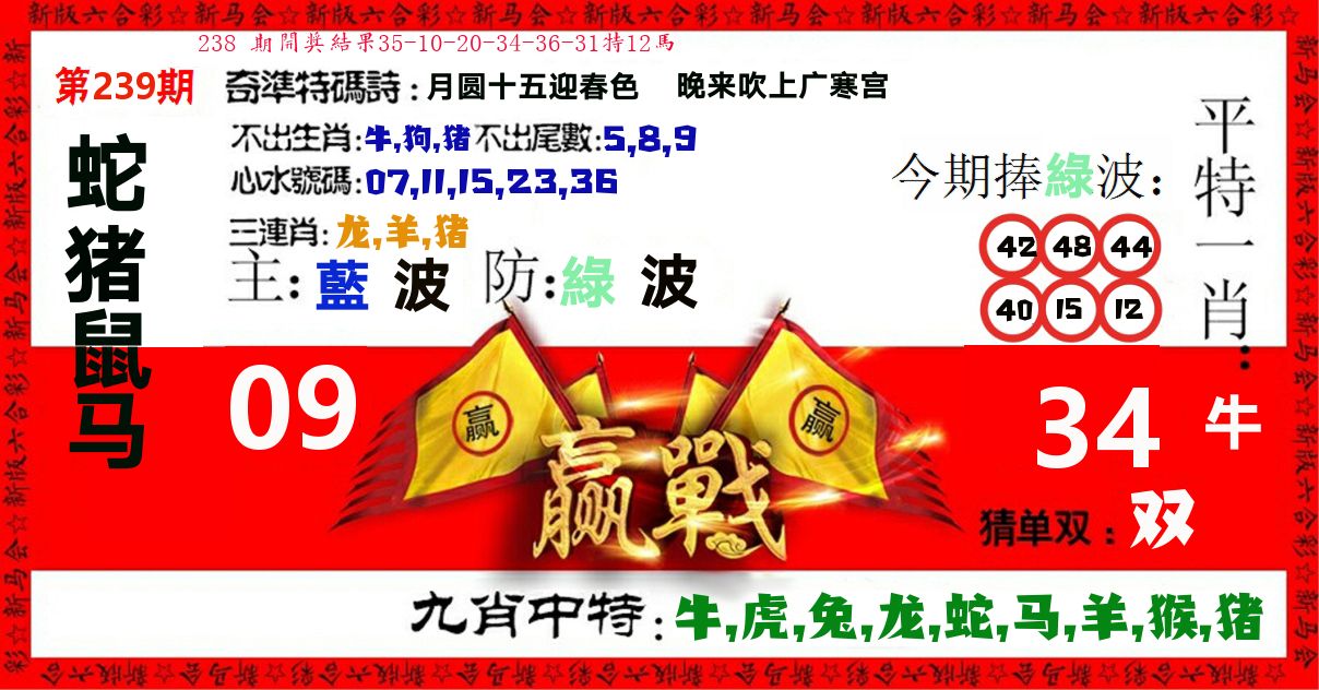 赢站 第239期