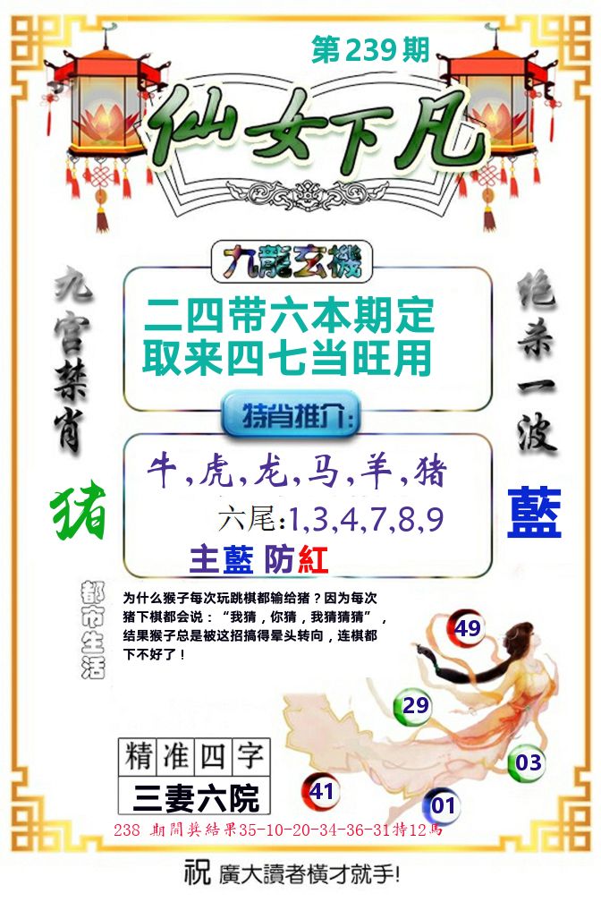 仙女下凡 第239期