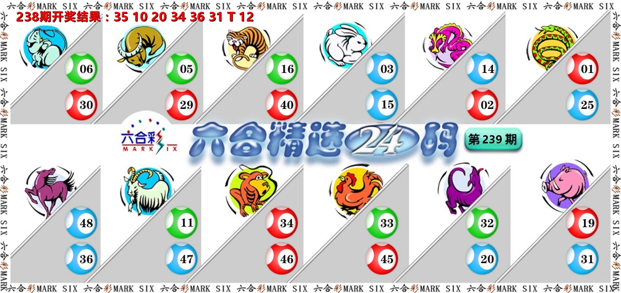 六合精选24码 第239期