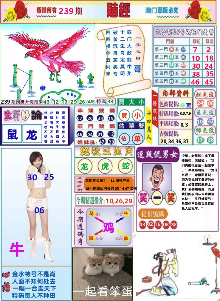 澳门赌经 第239期