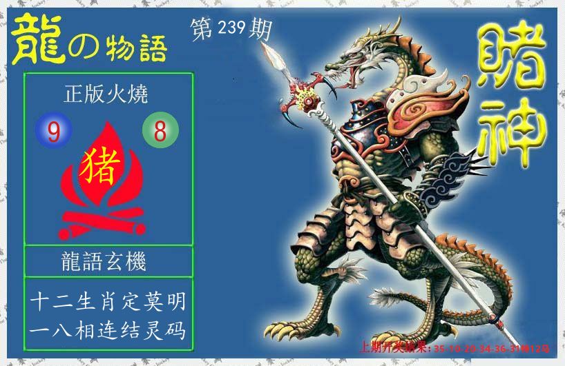 赌神龙报 第239期