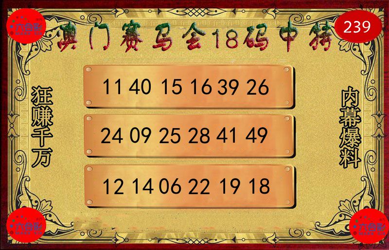 赛马会18码 第239期