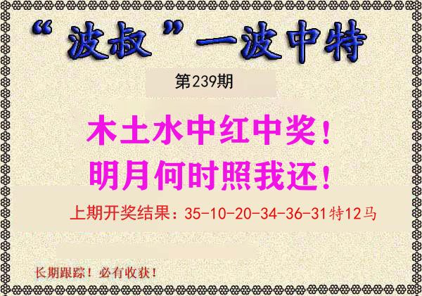 波叔中特 第239期