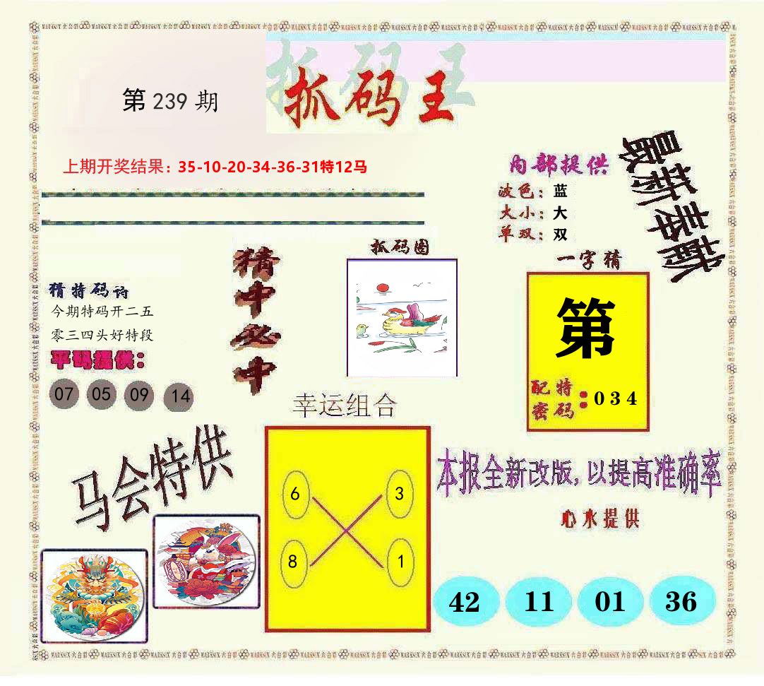 抓码王 第239期