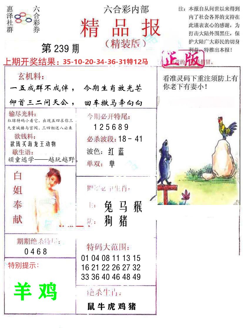 精品报 第239期