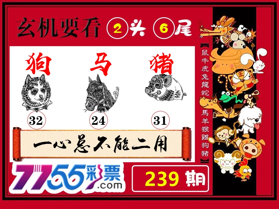 玄机要看 第239期