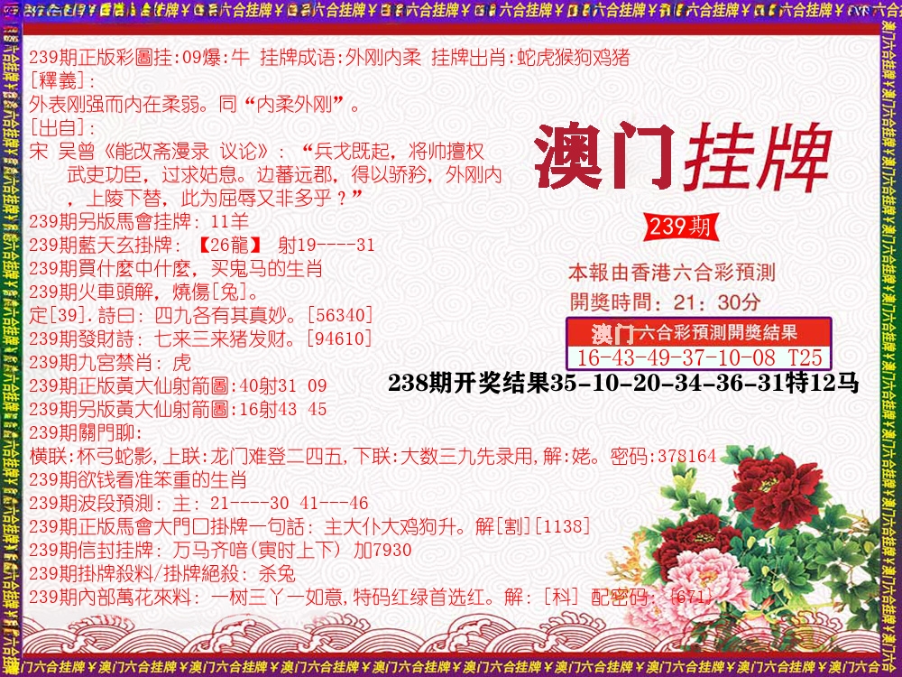澳门挂牌 第239期