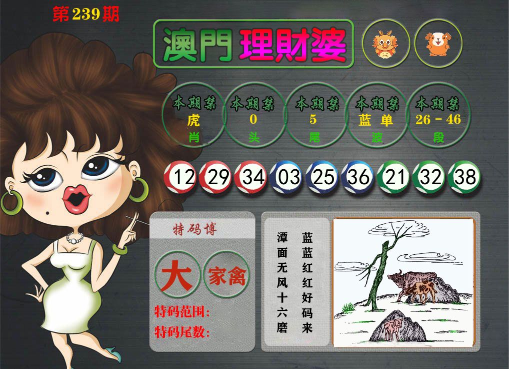 理财婆 第239期