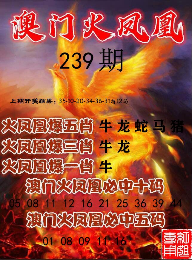 火凤凰 第239期