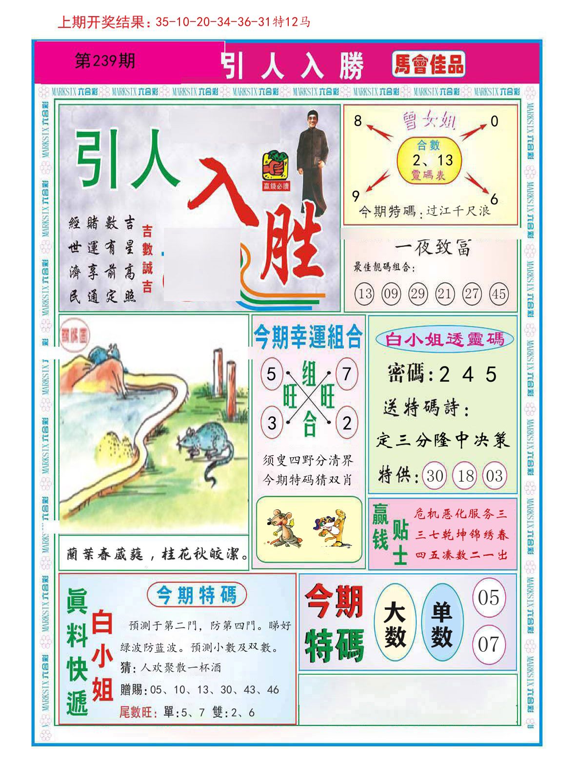 引人入胜 第239期