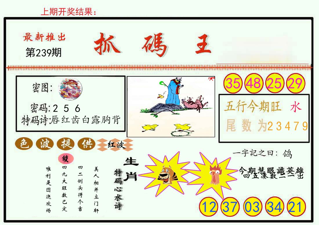 最新抓码王 第239期