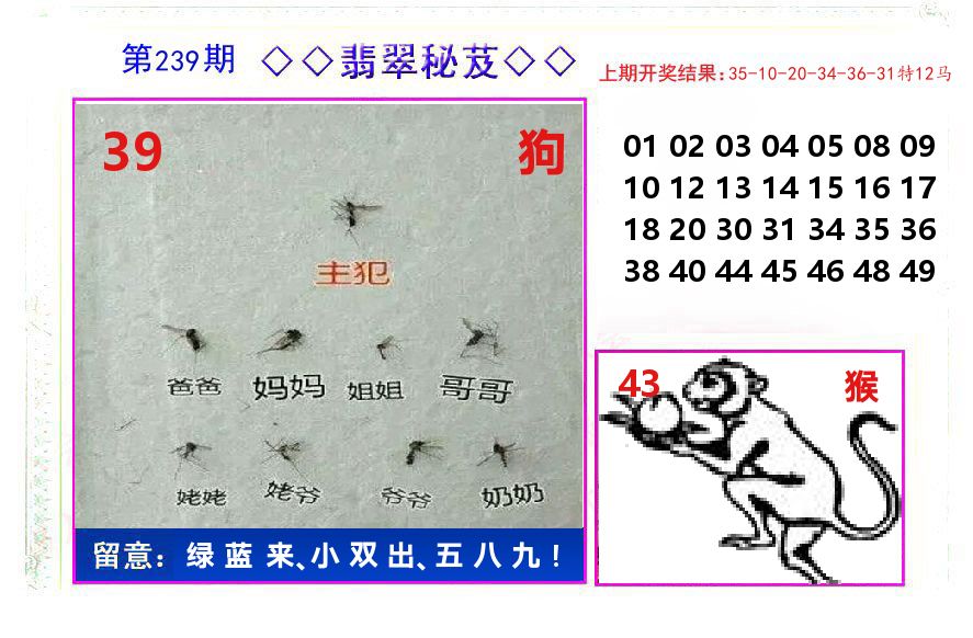 翡翠秘芨 第239期