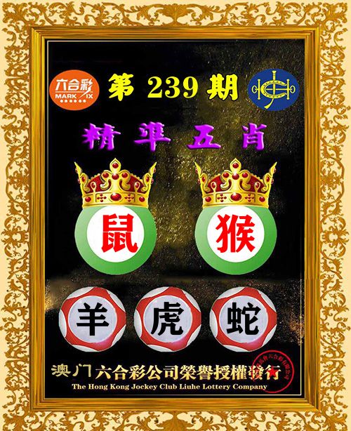 精准五肖 第239期