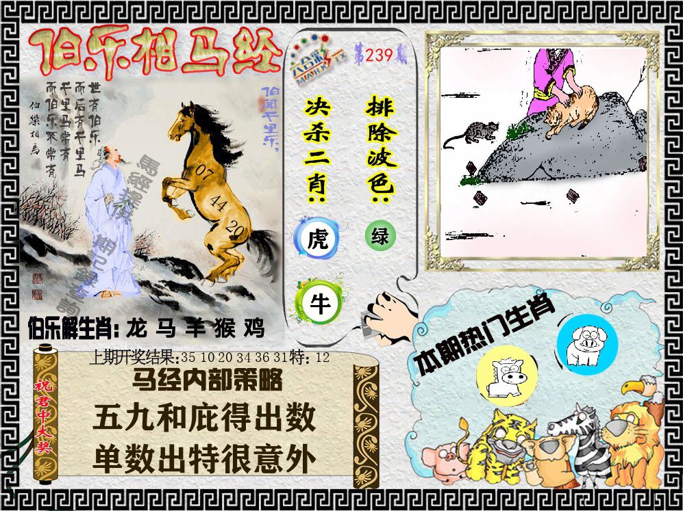 伯乐相马经 第239期