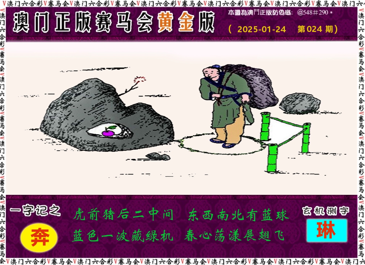 赛马会黄金版 第24期