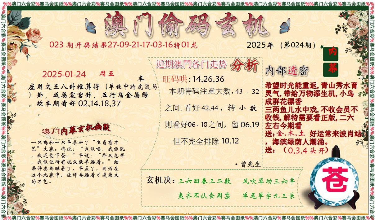 偷码玄机 第24期