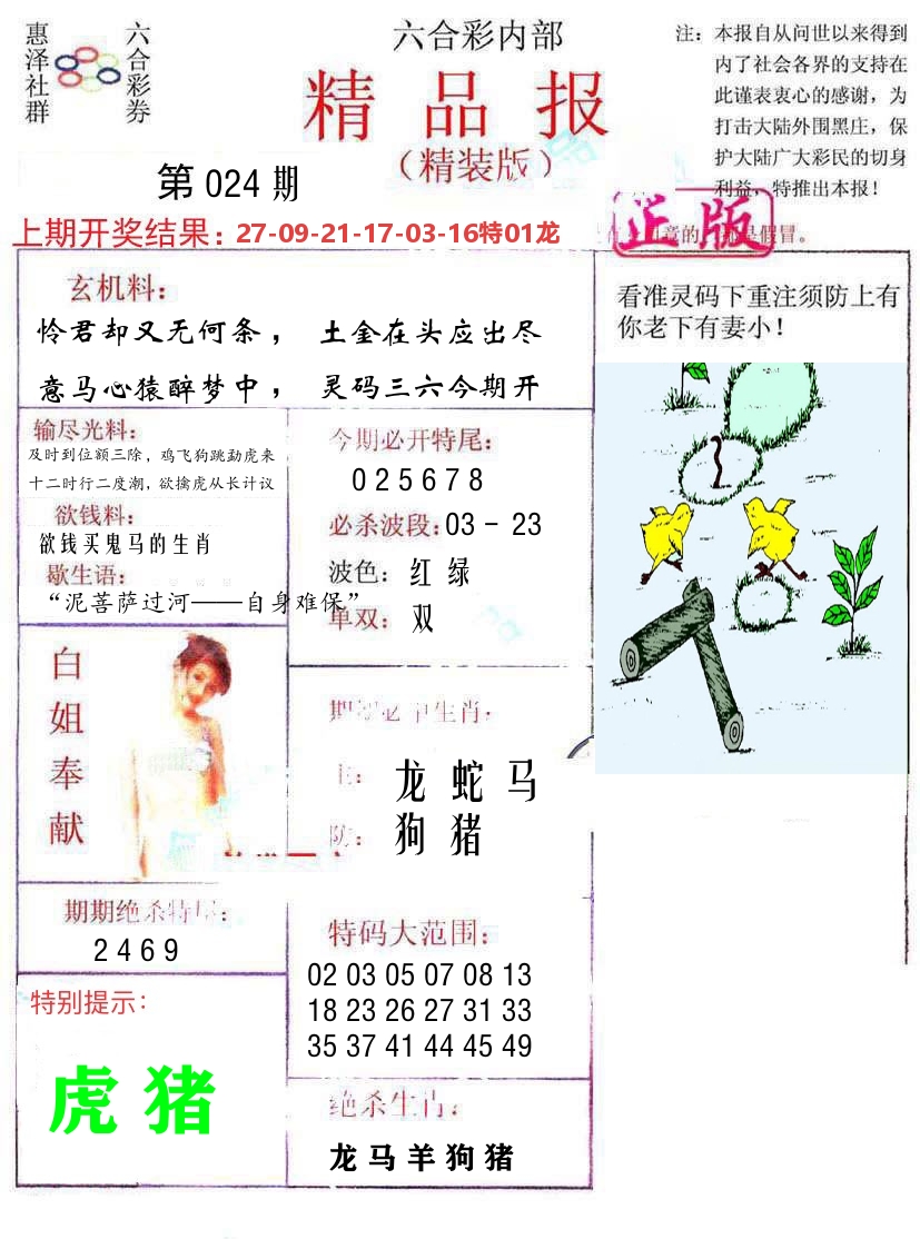 精品报 第24期