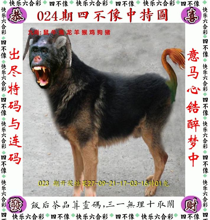 四不像 第24期
