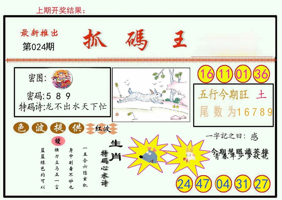 最新抓码王 第24期