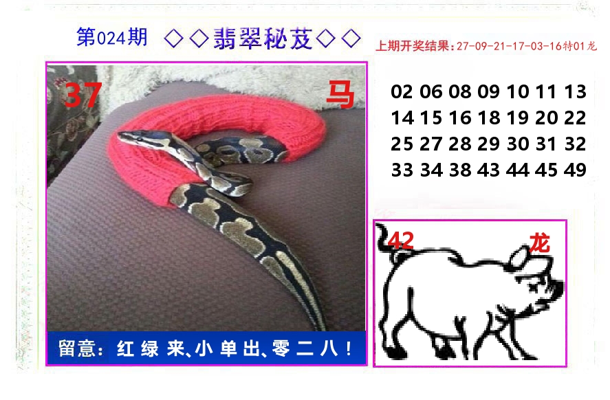 翡翠秘芨 第24期