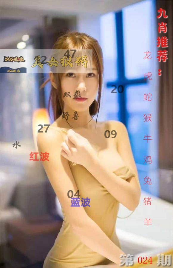 美女报码 第24期