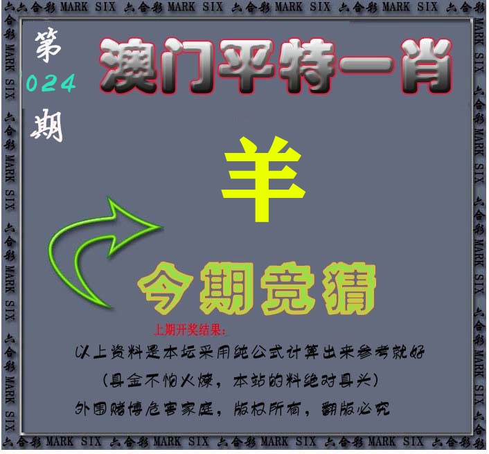 今期竞猜 第24期