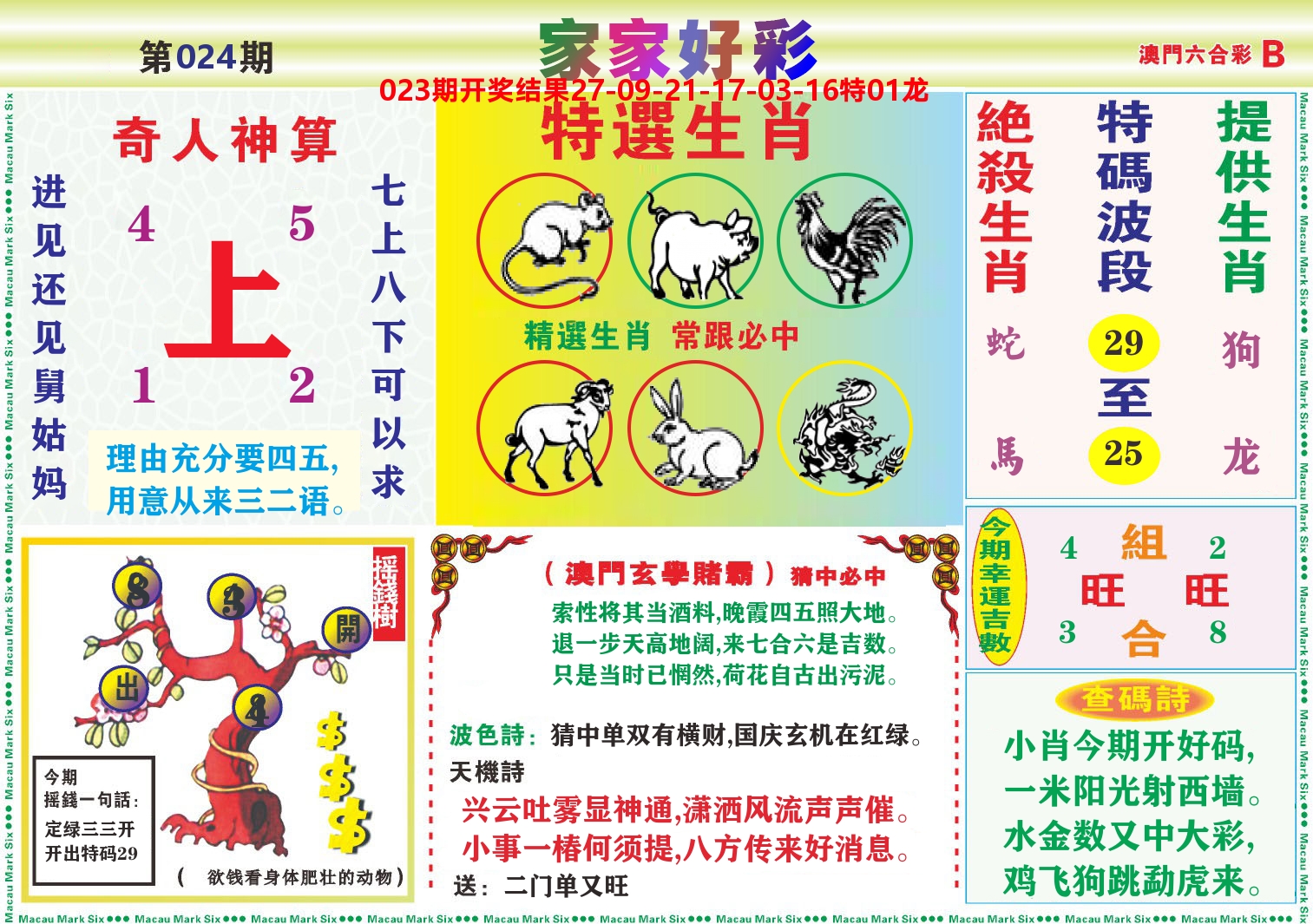 家家好彩B 第24期