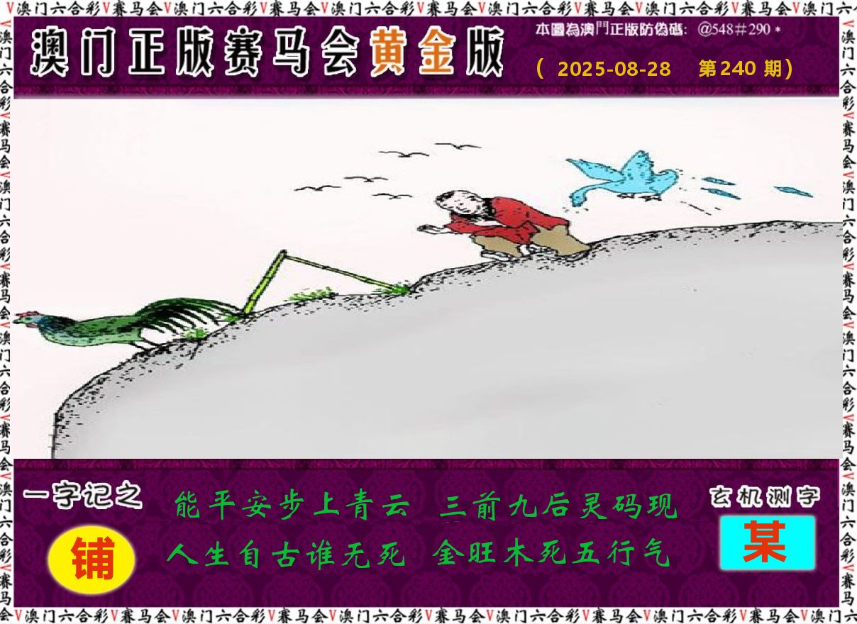 赛马会黄金版 第240期