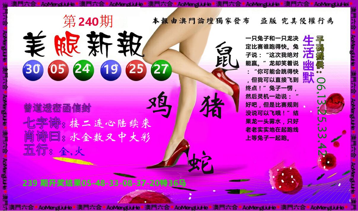 美腿新报 第240期