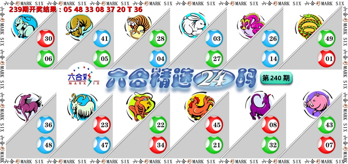 六合精选24码 第240期