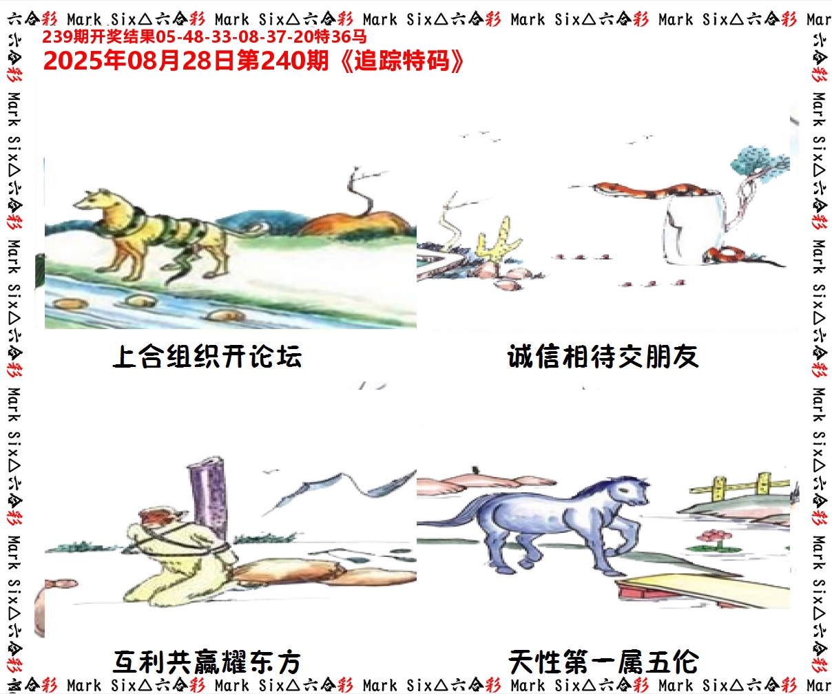 追踪特码 第240期