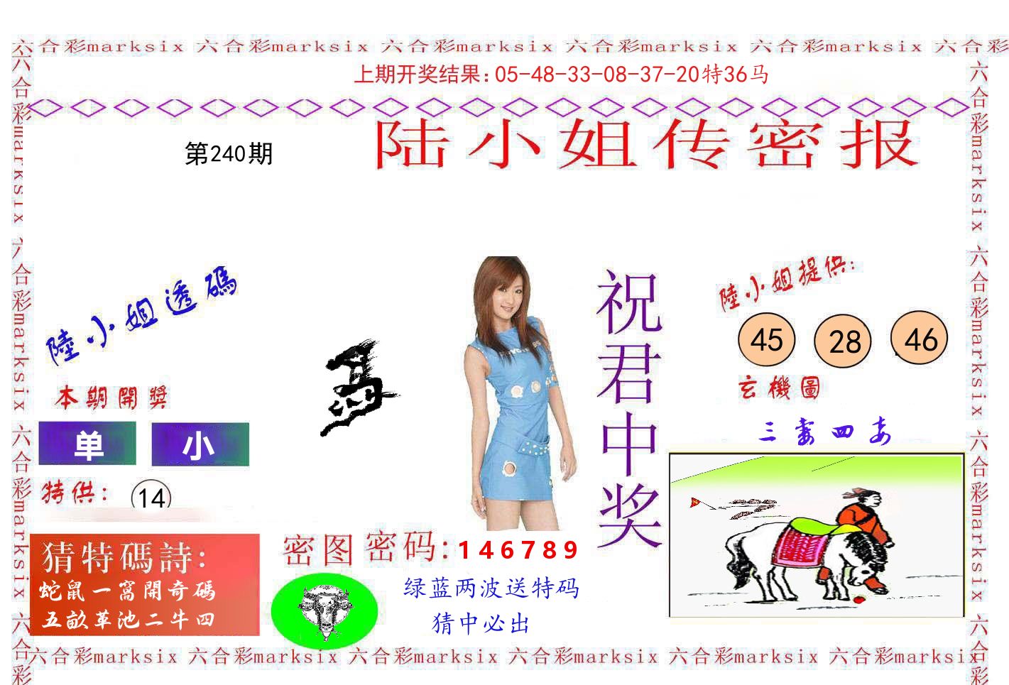 陆小姐密报 第240期