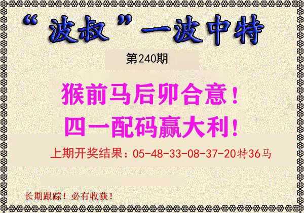 波叔中特 第240期