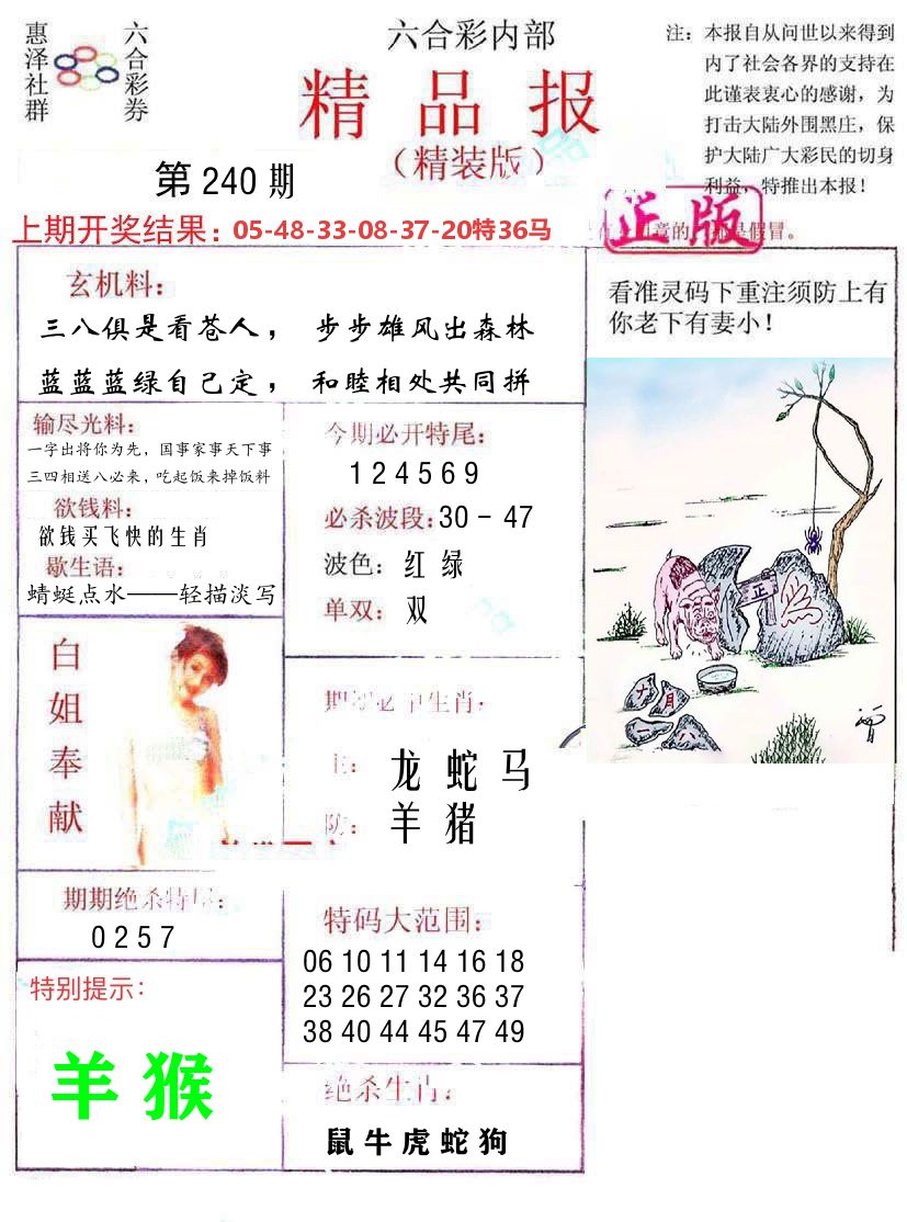 精品报 第240期