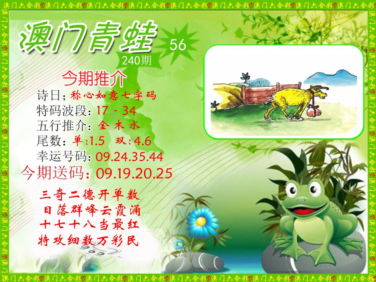 青蛙系列56 第240期