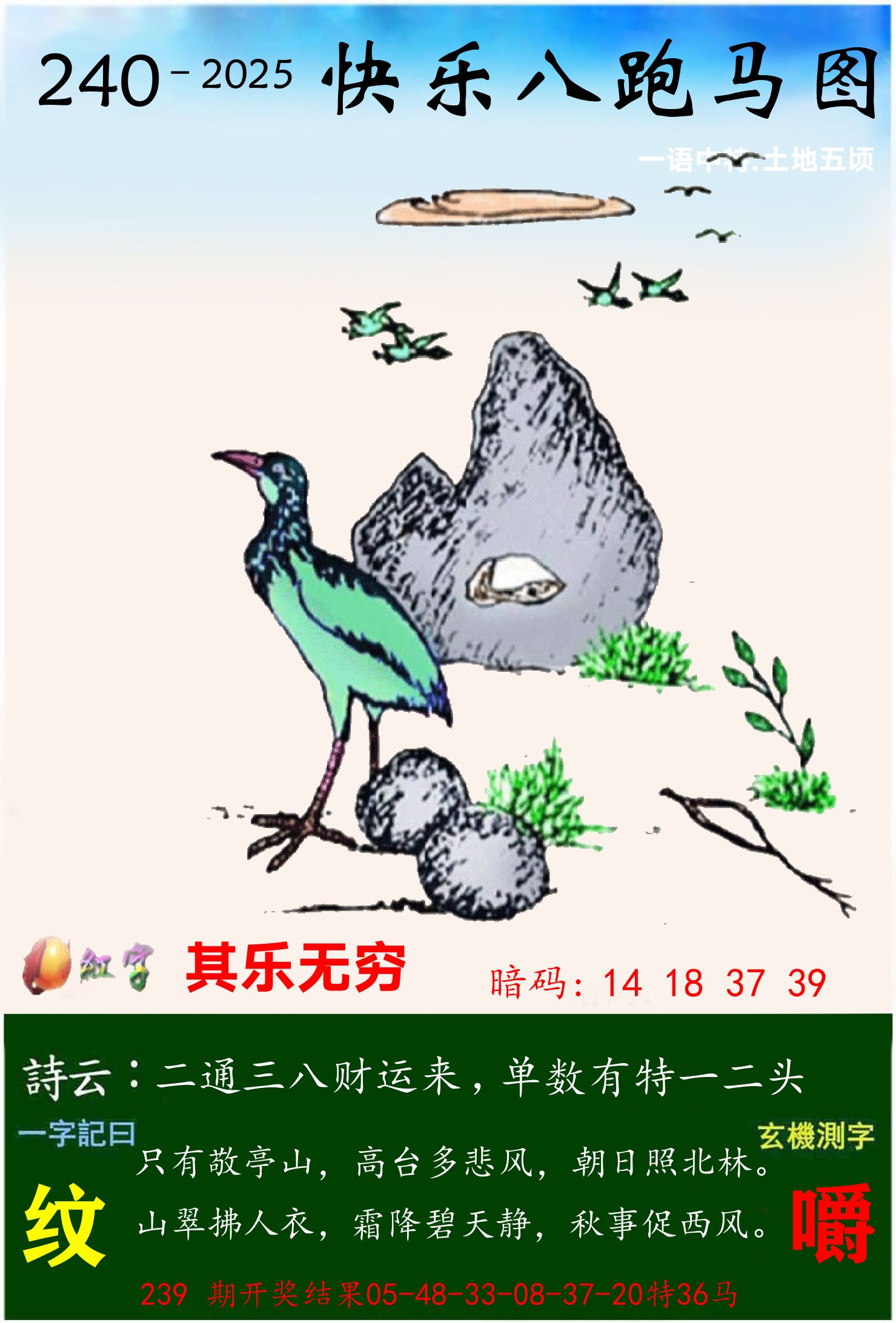 澳门跑马 第240期
