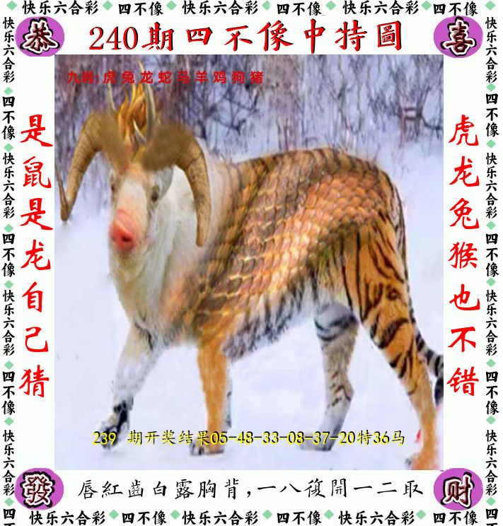 四不像 第240期