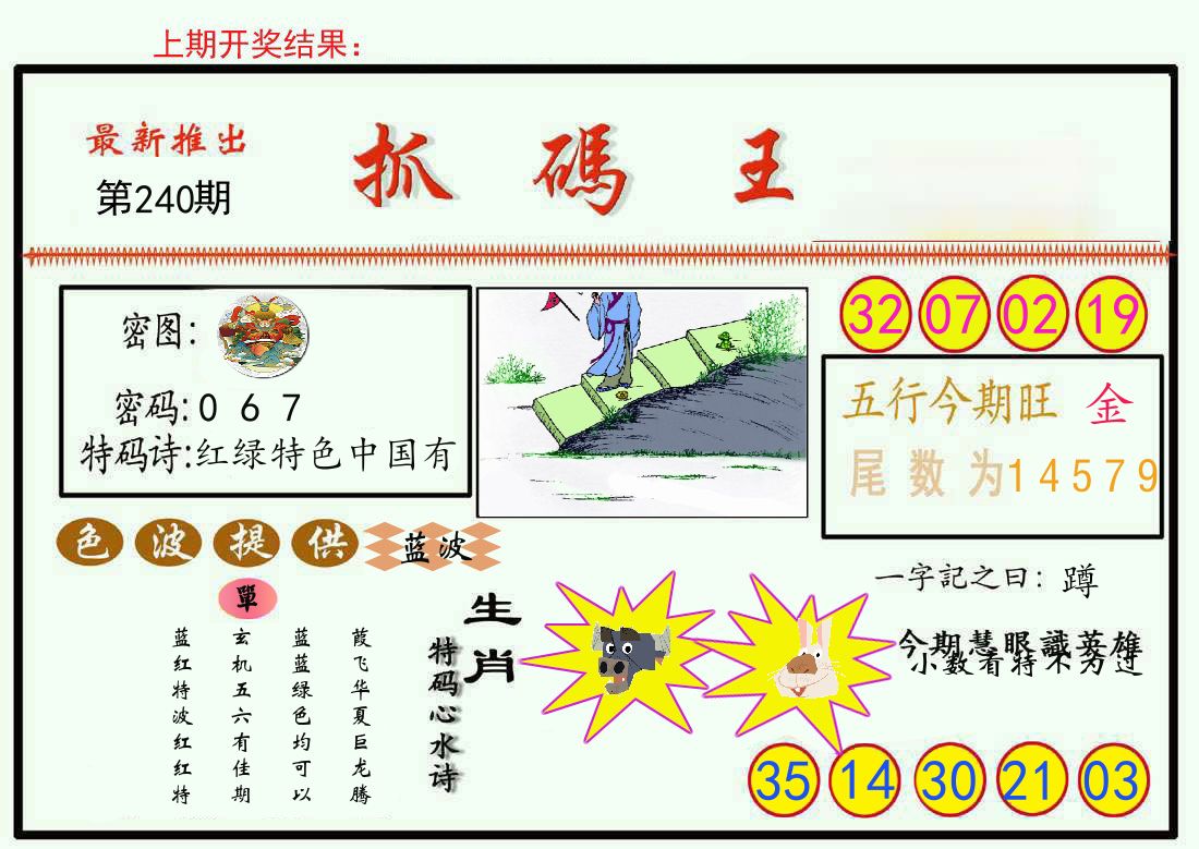 最新抓码王 第240期