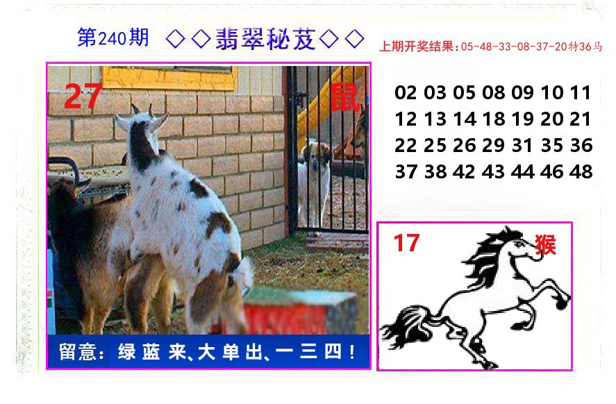 翡翠秘芨 第240期
