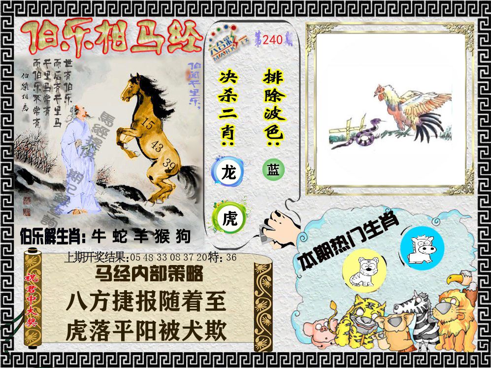 伯乐相马经 第240期